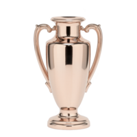 shiny, elegant bronze trophy with two ornate handles and classic design, perfect for awards and recognition. reflective surface adds touch of sophistication and prestige png