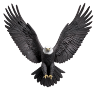majestic bald eagle with outstretched wings soars gracefully, showcasing its powerful presence and sharp talons. detailed feathers and intense gaze capture essence of this iconic bird of prey png