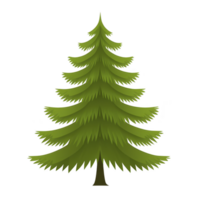 tall, lush green pine tree with layered branches and pointed top, symbolizing nature and tranquility. tree stands alone against plain background, highlighting its natural beauty png