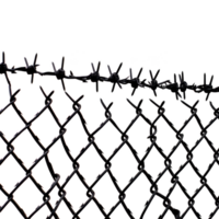 close up of barbed wire fence with chain link pattern, symbolizing security and restriction. sharp barbs and metal links create sense of confinement and protection png