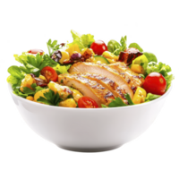 Vibrant salad bowl with grilled chicken, cherry tomatoes, corn, and leafy greens, garnished with fresh herbs, offers healthy and colorful meal option png