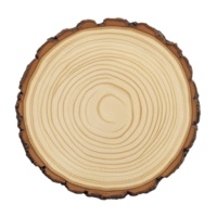 Cruz seção do árvore tronco mostrando crescimento argolas e latido, simbolizando natureza e tempo. circular padronizar é distinto e detalhado, destacando natural textura e orgânico beleza png