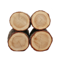 Four neatly stacked logs with visible tree rings and rough bark edges, showcasing natural wood texture and growth patterns. Ideal for firewood or rustic decor png