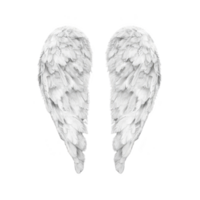 White angel wings with detailed feathers on transparency background, symbolizing purity and grace. wings are symmetrical and appear soft, evoking sense of serenity and ethereal beauty png