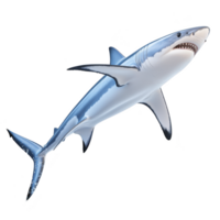 Realistic illustration of great white shark swimming in dynamic pose, showcasing its powerful body and sharp teeth. shark sleek, streamlined form is highlighted against plain background png