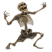 spooky skeleton with tattered clothing appears to be in dramatic pose, evoking sense of eerie excitement. skeletal figure is detailed, showcasing bones and haunting expression png