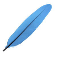 single vibrant blue feather with smooth texture and delicate appearance, isolated on transparency background, evokes sense of lightness and freedom png