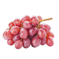 Bunch of fresh red grapes with glossy surface, showcasing their vibrant color and juicy texture. grapes are clustered together, highlighting their natural appeal png