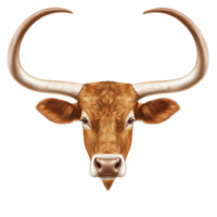 Realistic illustration of brown bull head with large curved horns, showcasing detailed fur texture and calm expression. image is isolated on transparency background png