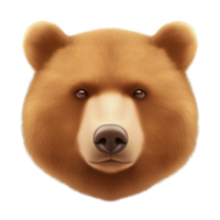 A realistic illustration of bear face with detailed fur and expressive eyes, showcasing calm and serene expression. bear features are prominently highlighted, emphasizing its natural beauty png