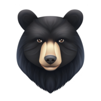 A realistic illustration of bear face with detailed fur and expressive eyes, showcasing calm and serene expression. bear dark fur contrasts with its lighter snout png
