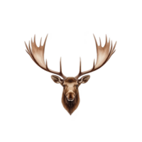 A realistic illustration of moose head with large antlers, isolated on transparency background, showcasing detailed textures and natural colors png