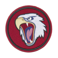 A fierce eagle emblem with open beak is embroidered on circular red patch, symbolizing strength and determination. detailed stitching highlights eagle features against bold background png