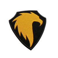 A This features stylized eagle head in orange on black shield, symbolizing strength and protection. design is bold and dynamic, often used in logos or emblems png