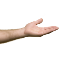 open human hand is extended with palm facing up, suggesting gesture of offering or receiving. background is transparent, highlighting hand details and skin texture png