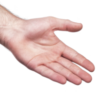 open human hand with visible palm and fingers extended, suggesting gesture of offering or greeting. skin tone is light, and background is isolated png