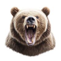 A fierce brown bear with its mouth open wide, displaying sharp teeth and powerful expression, isolated on transparency background. bear fur is thick and textured, adding to its imposing presence png