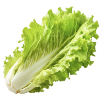 Fresh green romaine lettuce with crisp leaves, perfect for salads and healthy meals. vibrant color and texture make it appealing choice for nutritious dishes png