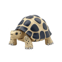 cute, stylized tortoise figurine with wooden texture and black shell patterns stands on transparency background, showcasing playful and artistic design png