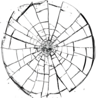 detalhado ilustração do circular aranha rede com intrincado padrões, exibindo delicado e complexo Projeto do natureza. rede parece frágil ainda belas estruturada png