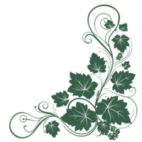 decorative green vine with leaves and tendrils elegantly curls in corner design, adding natural and artistic touch. intricate pattern is perfect for embellishing various creative projects png