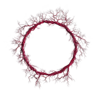 circular Projeto do intrincado vermelho e Preto galhos formulários impressionante, orgânico padronizar contra transparência fundo, evocando sentido do mistério e natureza complexidade png
