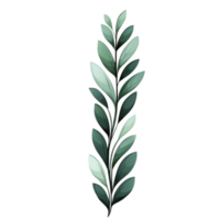 vertical illustration of green leafy branch with varying shades of green leaves, creating natural and organic feel. design is simple and elegant, suitable for decorative purposes.leafy branch png