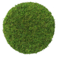 circular patch of lush green grass creates vibrant and natural texture, perfect for backgrounds or design elements. dense grass is evenly distributed, forming perfect circle png
