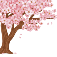 beautiful cherry blossom tree with delicate pink flowers full bloom, symbolizing arrival of spring and new beginnings. branches are adorned with vibrant blossoms, creating serene and picturesque png