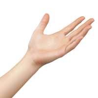 open human hand is extended against transparency background, fingers slightly spread, palm facing up. image conveys sense of offering or receiving png