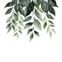 Watercolor illustration of lush green leaves cascading down, creating serene and natural atmosphere. leaves vary in shades of green, adding depth and texture png