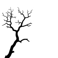 silhouette of bare tree branch with intricate, twisting limbs against plain background, evoking sense of solitude and stark beauty png