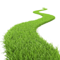 winding path of lush green grass creates serene and natural scene, evoking sense of tranquility and connection to nature. vibrant color and gentle curves invite exploration and relaxation png
