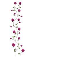 vertical pattern of pink roses with green leaves on transparency background, creating elegant and romantic floral design. roses are arranged in climbing vine style, adding touch of nature beauty png