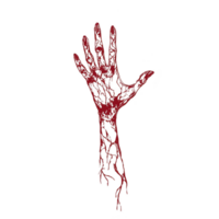 red, skeletal hand with intricate vein like patterns extends upward against transparency background, creating haunting and eerie visual. design evokes sense of mystery and horror png
