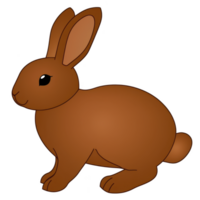 cute brown rabbit illustration with large ears and fluffy tail, sitting calmly. simple design and warm color create friendly and approachable appearance png