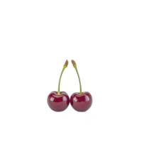 Two ripe cherries with stems are placed against plain transparency background, highlighting their vibrant red color and glossy texture. simplicity of image emphasizes freshness and natural appeal png