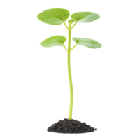 young green plant with vibrant leaves stands tall, emerging from small mound of rich soil, symbolizing growth and new beginnings png