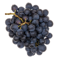 cluster of fresh, juicy black grapes with water droplets on surface, showcasing their natural shine and rich color. Perfect for healthy eating and fruit themed designs png