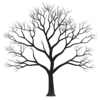 detailed silhouette of leafless tree with intricate branches, evoking sense of calm and simplicity. tree stands alone, showcasing its natural beauty against plain background png