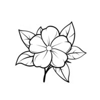 This is simple black and white line drawing of flower with five petals and several leaves. design is minimalistic and artistic, capturing essence of blooming flower png