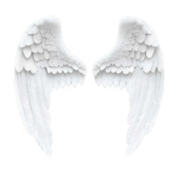 pair of detailed white angel wings with layered feathers, symbolizing purity and grace. wings are symmetrical and have soft, ethereal appearance, evoking sense of serenity png