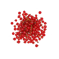 cluster of vibrant red currants is displayed against transparency background, showcasing their glossy texture and natural beauty. berries are small, round, and densely packed, creating visually png