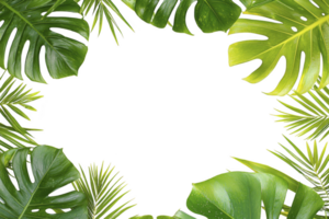 vibrant arrangement of tropical leaves forms lush green border, creating natural frame with empty center space. leaves display various shades and textures, evoking fresh and exotic atmosphere png