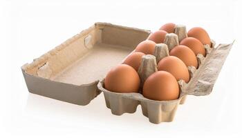Ten Brown Eggs in a Cardboard Carton Ready for Use Fresh Farm Eggs photo