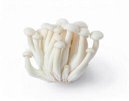 Fresh White Shimeji Mushrooms Cluster Close Up Studio Shot on White Background Ideal for Culinary and Health Food photo