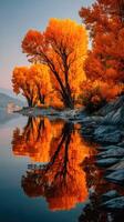 Autumn trees with vibrant orange leaves reflecting on calm lake water at sunrise in a serene natural setting photo