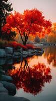 Vibrant autumn foliage reflecting on calm water beside a serene park photo