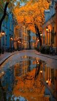 Charming cobblestone street lined with colorful houses and autumn trees reflecting in puddles at dusk photo