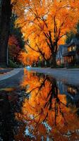 Vibrant autumn foliage reflects on a wet street in a peaceful neighborhood during sunset photo